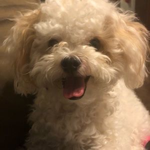 Meet your Posher, Karla